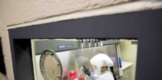 Desarrollan anticuerpo efectivo contra Covid-19 en San Diego