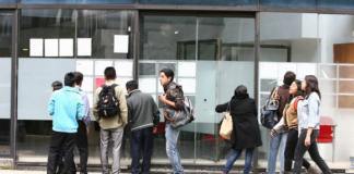 Transferencias económicas deben beneficiar a todo tipo de trabajadores: Marcelo Delajara