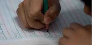 Alumnos presentarán examen de diagnóstico al regresar a las aulas: SEP