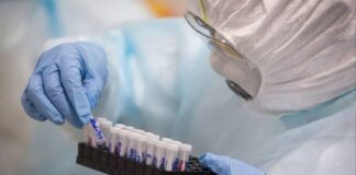 Científicos crean anticuerpo que venció al COVID-19 en pruebas de laboratorio