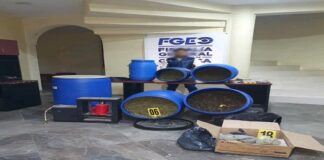 FGEO detiene a una persona asegura droga y municiones durante cateo en Tlaxiaco