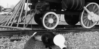 Tiran cabeza humana en vías del tren del Istmo