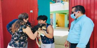 Encuentra Ayuntamiento de Oaxaca hogar responsable a canino abandonado