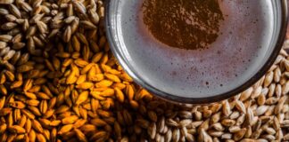 Industria cervecera mexicana “está lista” para reactivar producción en junio