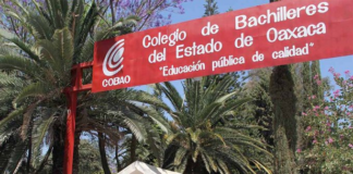 Detiene Fiscalía a profesor del COBAO por abuso sexual