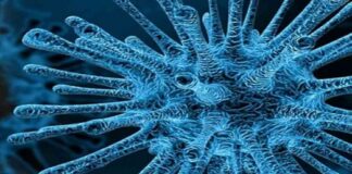 Registra SSO 88 casos nuevos de COVID-19