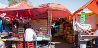 CDMX canaliza créditos federales de 25,000 pesos a 100,000 tianguistas