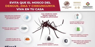 Llama Ayuntamiento de Oaxaca a sanear hogares para evitar el dengue