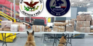 Hallan 27 paquetes de mariguana en Aeropuerto de Querétaro