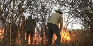 Solicitan ayuda para apagar incendio en Ixtayutla