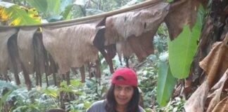 Exigen justicia por asesinato de ambientalista en Oaxaca