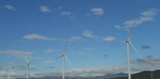 Frena juez acuerdo del Cenace; protege a empresas quejosas