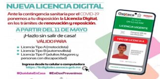 Disponibles las licencias digitales en Oaxaca; podrán hacer el trámite On-line
