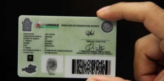 Semovi emite licencias de conducir digitales; podrás llevarla en tu celular