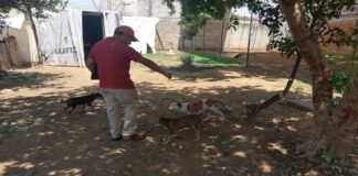 Descarta Ayuntamiento presunto caso de maltrato animal en Pueblo Nuevo