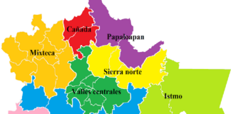 Oaxaca es el estado con más municipios de la esperanza: Salud