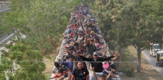 Migración en la zona sur se redujo casi 90% tras Covid-19: INM