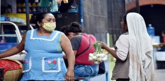 Urge diputada campaña en lenguas indígenas para contener COVID 19