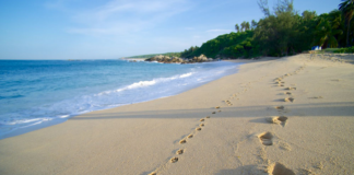 Playas de Mazunte, Oaxaca, refuerzan filtros sanitarios