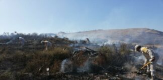 Despliega Sedena Plan DN-III en varios estados por incendios