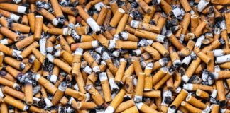 Cada 4 segundos muere una persona en el mundo por tabaquismo: OMS