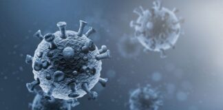 Vacuna experimental contra Covid-19 comienza a probarse en EU