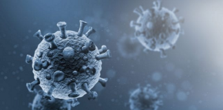 Registran los SSO 194 contagios nuevos de COVID-19