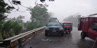 Lluvias dejan daños en Oaxaca: CEPCO