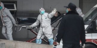 OMS enviará un equipo a China para investigar origen del Covid-19