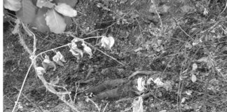 Asesinan y queman a madre y su bebé en Ejutla de Crespo