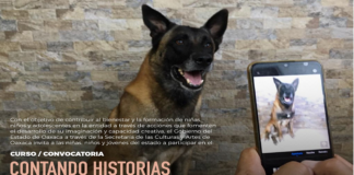 Premiará Seculta los mejores trabajos de “Contando historias con la cámara del teléfono”