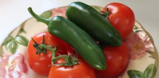 EU pondrá la lupa en exportación de chile y tomate por trabajo forzoso o infantil