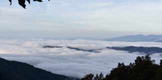 Este miércoles nos espera “Un recorrido por Oaxaca”: Seculta