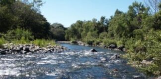 Comisiones del Senado aprueban acuerdo ambiental entre México, Canadá y EU