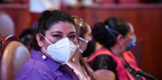 Pide diputada a Murat transparencia en el manejo de recursos durante la pandemia
