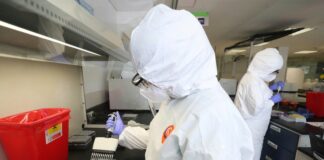 Desabasto y especulación frenan pruebas virales: IMSS