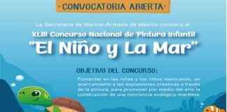 El 11 de junio, el IEEPO cierra el plazo del concurso “El Niño y la Mar 2020”