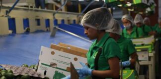 Economía de México se contraerá 10.5%, estima FMI