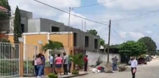 Ejecutan a regidor de ecología de Loma Bonita