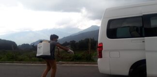 Pueblo mixe, ejemplo de organización para enfrentar al COVID-19