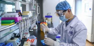 Mutación de Covid-19 aumenta su capacidad de infección: estudio