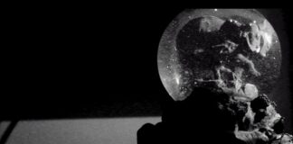 Trasmitirá Seculta proyecto “Florecer”…