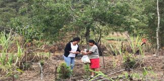 Llega la ruta de la esperanza a la Sierra Mazateca