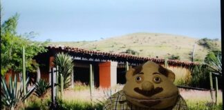 Invita Seculta a disfrutar en familia la obra de títeres “Jacinto”