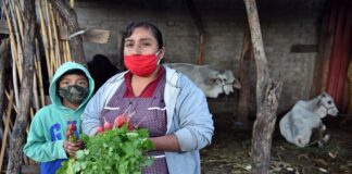 Urgente que gobierno tome medidas y apoye a familias en condición precaria, exhorta Diputado