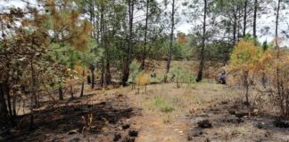 Fiscalía ejecuta operativo de búsqueda por hombre privado de su libertad