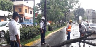 Atiende Ayuntamiento de Oaxaca 55 reportes de afectaciones por lluvia