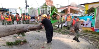 Atiende oportunamente Ayuntamiento de Oaxaca reportes de afectaciones por lluvias