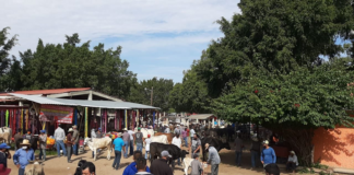 San Antonino Castillo Velasco reta a autoridades e instala Baratillo
