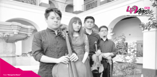 Ofrecerá la Camerata Instrumental de la CCO concierto virtual de música clásica